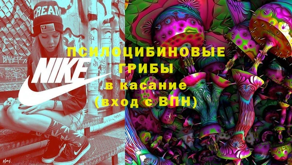 прущие крисы Зеленокумск