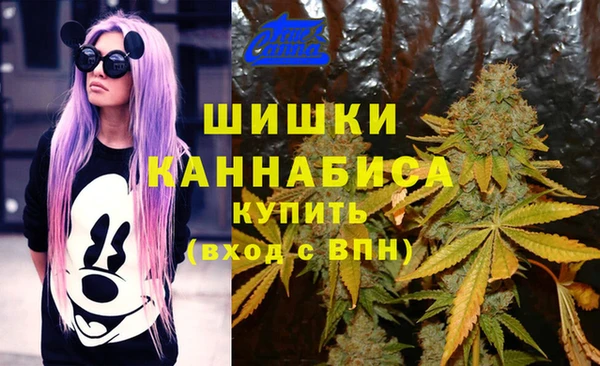 меф Инта