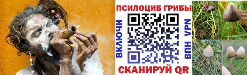 Галлюциногенные грибы MAGIC MUSHROOMS Купить Енисейск